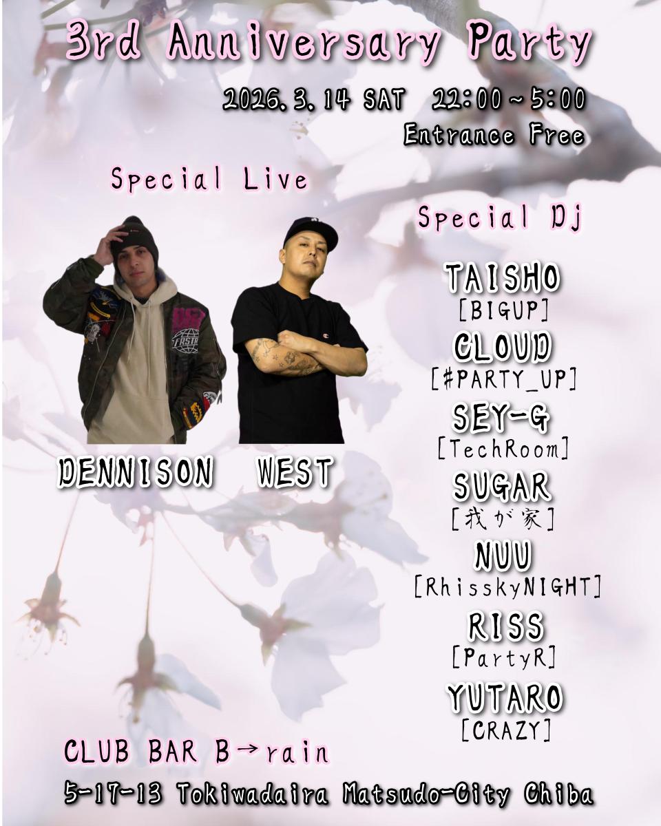 3rd Anniversary Party Flyer